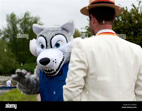 Oxford may eights wolfson college hi-res stock photography and images ...