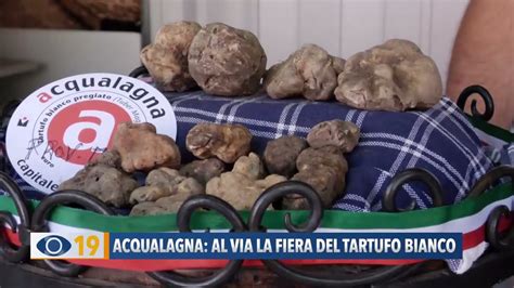 Acqualagna Al Via La Fiera Del Tartufo Youtube