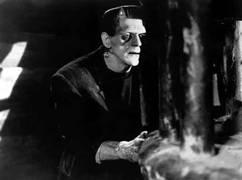 Birth and Rebirth: 200 Years of “Frankenstein” - Morbidly Beautiful