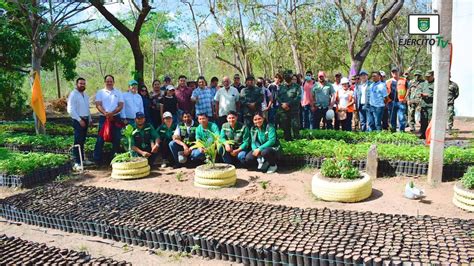 5 Comando Militar Regional inauguró vivero forestal para reforestar