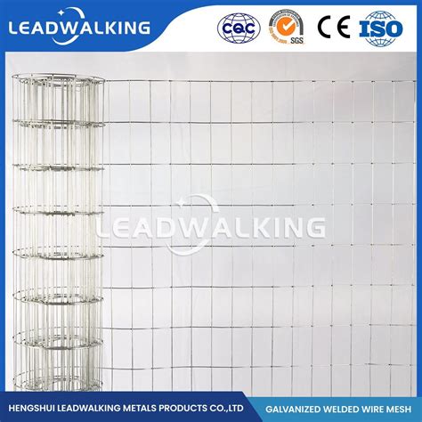 Leadwalking Square Iron Wire Mesh Manufacturers Oem Customized Square