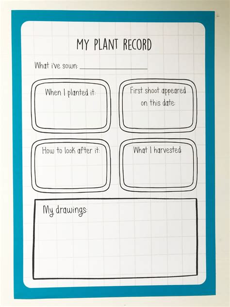 Plant Record | Grow Your Own Flowers Vegetables Record Sheet