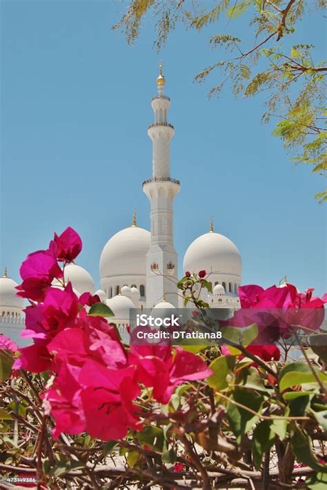 Masjid Sheikh Zayed Bin Sultan Al Nahyan Di Abu Dhabi Foto Stok Unduh