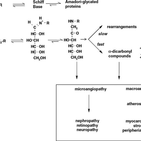 Pdf Glycated Lysine Residues A Marker For Non Enzymatic Protein Glycation In Age Related Diseases