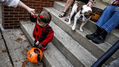 Trick-or-treating dates, times across central Illinois