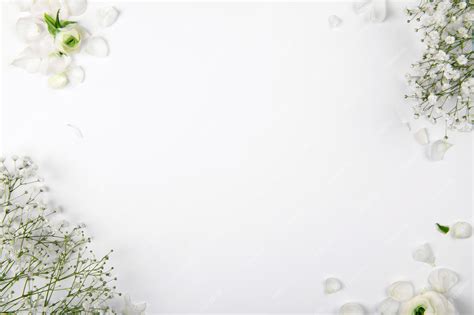 Tổng Hợp 222 White Background With Flowers Hoàn Toàn Miễn Phí để Tải Xuống