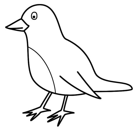 Coloring Pages Of Robin Red Breast Crafts