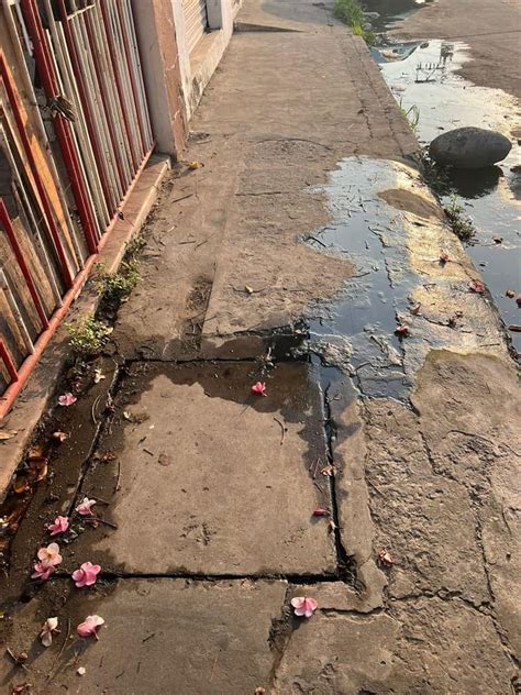 Vecinos Se Quejan De Malos Olores Por Una Fuga De Aguas Negras En