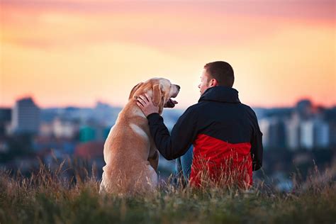 Comment D Velopper La Relation Avec Son Chien