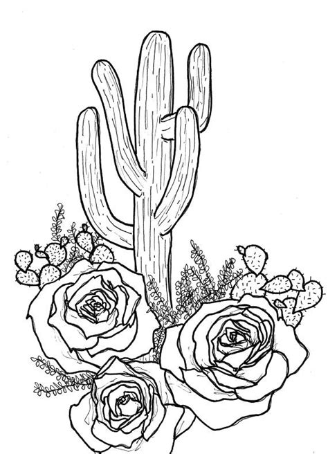 Potted Cactus Drawing At Getdrawings Free Download