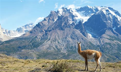 Chilean Wonders - USC Trojan Travel
