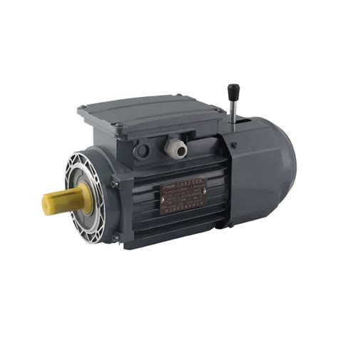 Motor eléctrico asíncrono trifásico para bomba 0 09kW 335kW 220 240V