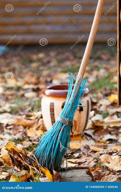 Broom With A Bunch Of Bright Yellow Autumn Leaves Collection Of Leaves