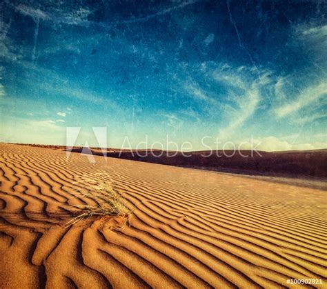 Dunes Of Thar Desert Rajasthan India From Wallmural Wallpassion