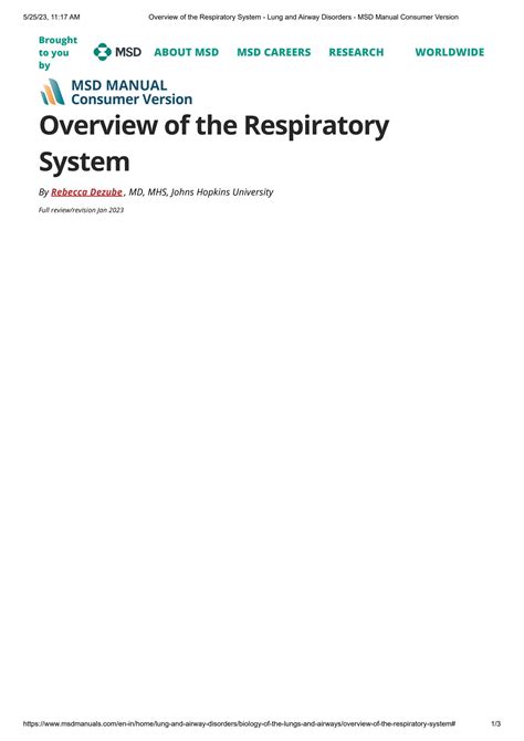 Solution Overview Of The Respiratory System Lung And Airway Disorders Msd Manual Consumer