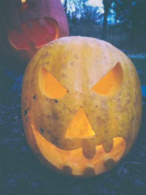 Halloween Pumpkin Free Stock Photo Public Domain Pictures