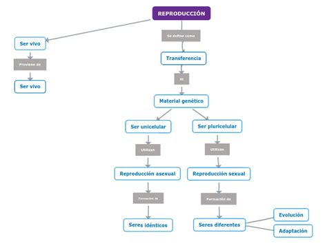 Reproducci N Mind Map