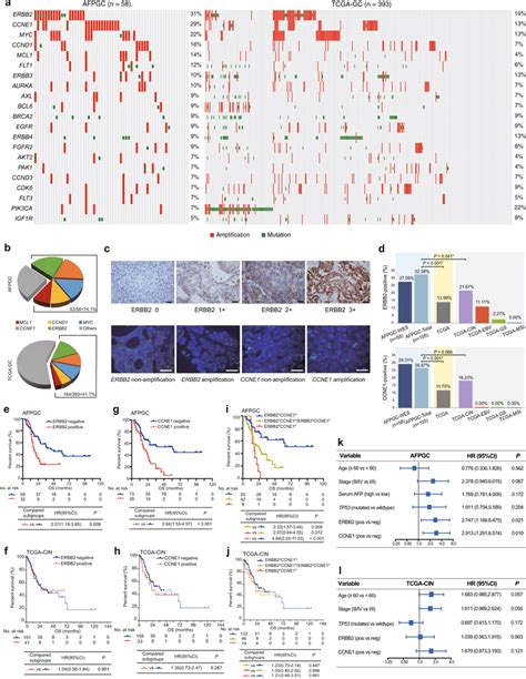 Potentially Targetable Alterations In Afpgc And Tcga Gc And Survival Download Scientific