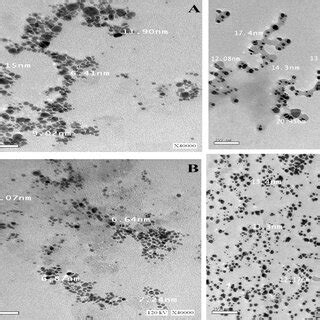 Tem Image Of Nps Where A Cuonps B Agnps C Aunps And D Tmnps