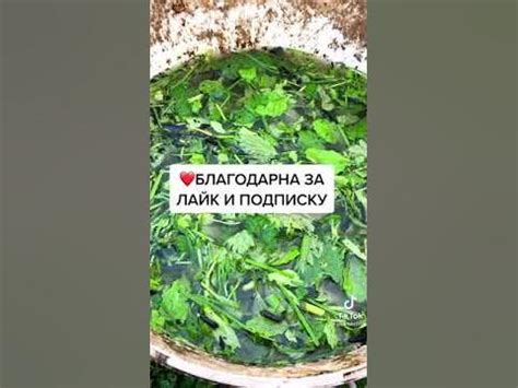 удобрение - YouTube