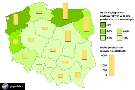 Rolnictwo Ekologiczne W Polsce Geografia Pl