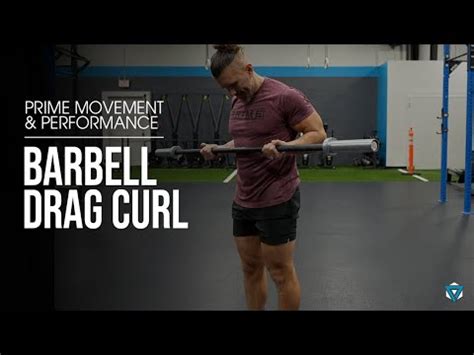 Barbell Drag Curl Youtube