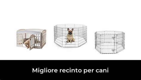 Migliore Recinto Per Cani Nel Secondo Gli Esperti