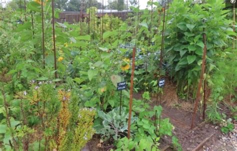 Concours National Des Jardins Potagers News Actualit S