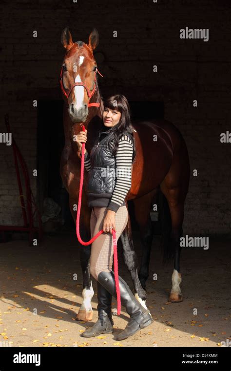 rider leading horse  stables stock photo alamy