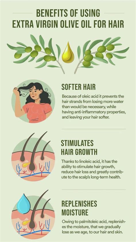 Olive Oil Benefits For Hairs Olive Oil Hair Olive Oil Benefits Olive Oil Hair Growth