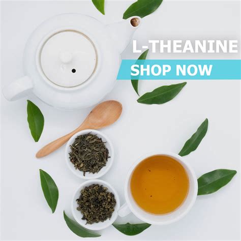 L-Theanine Powder - Amino Acid - Pure Bulk Supplement - PureBulk, Inc.
