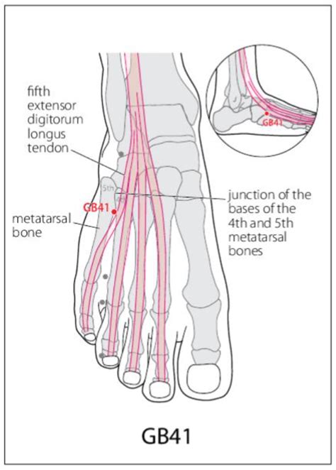 GB 41 Acupuncture Point Acupuncture Point Locations Review