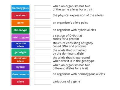 Mendelian Inheritance Teaching Resources