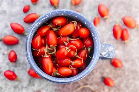 D Couvrez Les Bienfaits Des Baies De Goji Sur Votre Sant