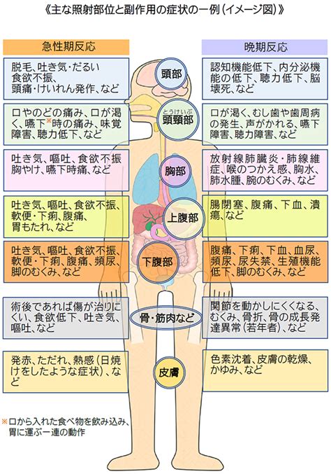 Survivorshipjp がんと向きあって ｜がん放射線治療の概要｜放射線治療の副作用（有害事象）と対策｜放射線治療の副作用（有害事象）とは