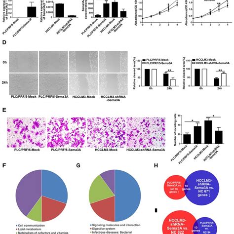 Sema3a Promoted Proliferation Migration And Invasion Of Hcc Cells In