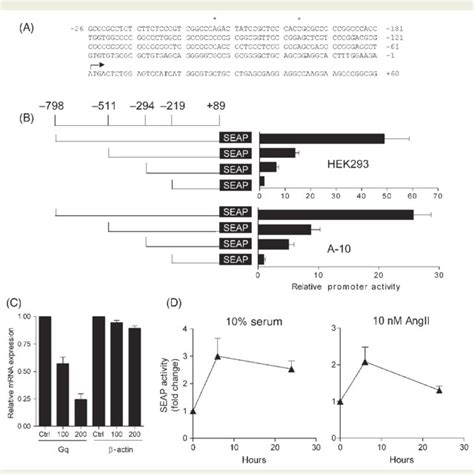 Sequence And Characterization Of The 5 0 Flanking Region Of The Human