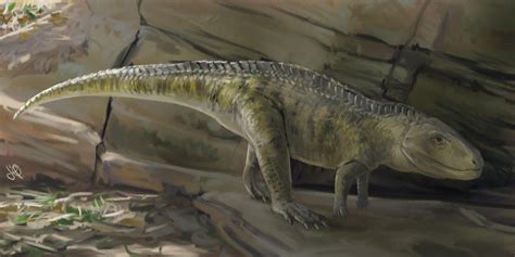 Postosuchus Kirkpatricki By Judoliveira On Deviantart Prehistoric