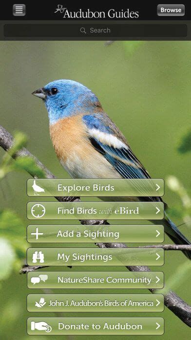 The Best Birding Apps In Iphone Android Artofit