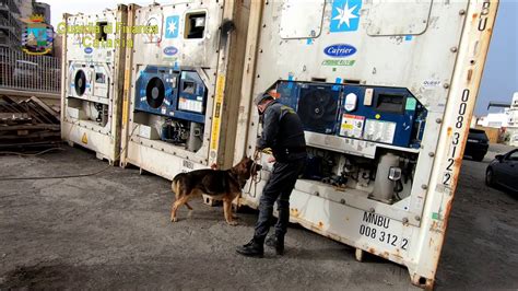 Catania Al Porto Di Catania GdF Sequestra 7 Kg Di Cocaina DallEcuador