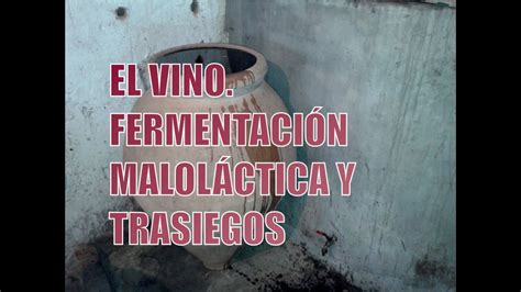 4 5 FERMENTACION MALOLACTICA Y TRASIEGOS ELABORACION CASERA Y