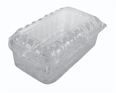 Plastic Punnet Box Box Capacity 500 Gms At Rs 3 Piece In Greater