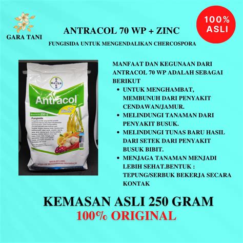 Jual Antracol Wp Zinc Kemasan Gram Fungisida Untuk