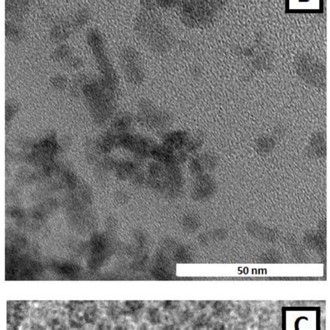 A Optical Absorption And PL Spectra Of Encapsulated CdSe ZnS QDs