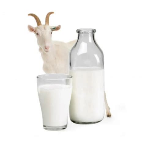 Goat milk: Glycemic Index (GI), glycemic load (GL) and calories per 100g