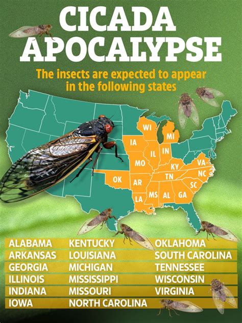 Us States Most Likely To Be Affected By Cicada Apocalypse As