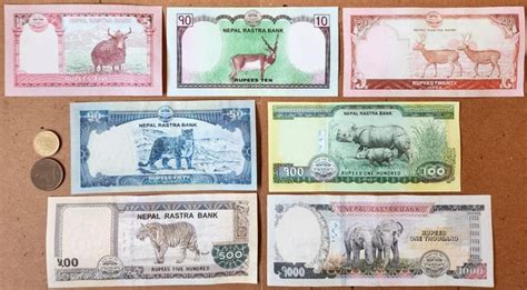 Current Issue Nepalese Rupee (NPR) Banknotes & Coins 🇳🇵 (UPDATE) : r ...