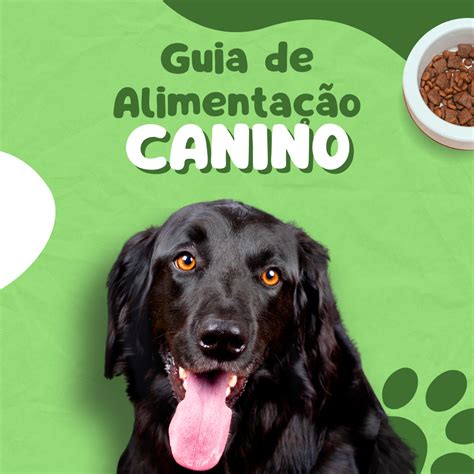 Guia De Alimentação Canino Sidinei Coutinho And Laura Barp Hotmart