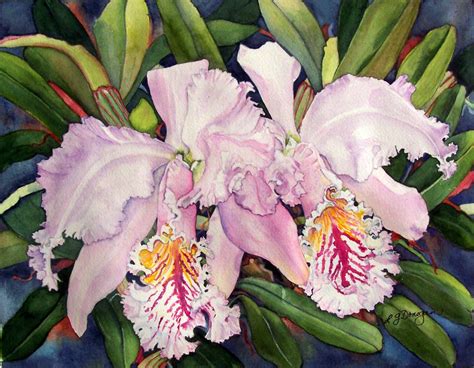 Cattleya Flowers Art Studio Best Flower Site