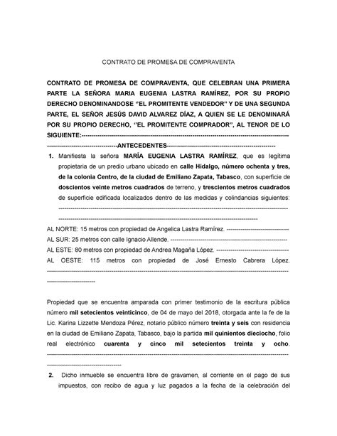 Promesa De Contrato De Compraventa Instituciones Sociales Sociedad